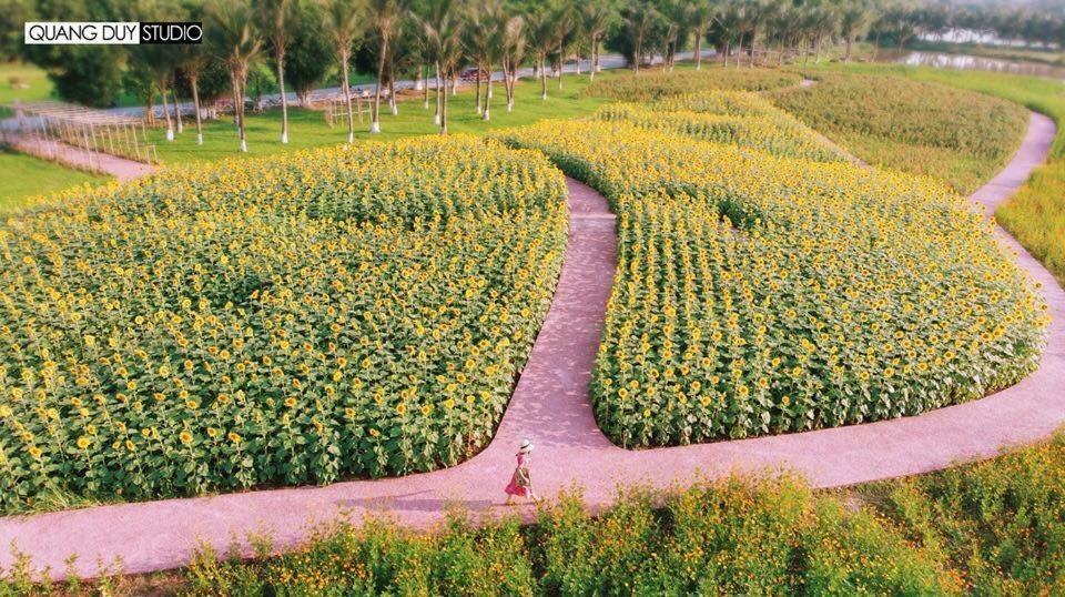 Sue Homestay Ecopark Hung Yen Esterno foto