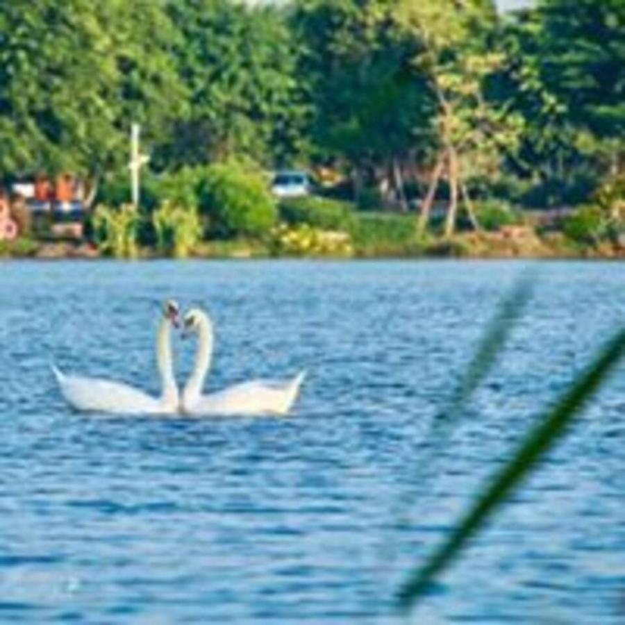 Sue Homestay Ecopark Hung Yen Esterno foto